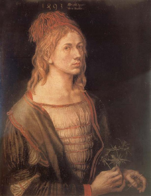Albrecht Durer Self-Portrait with sea holly oil painting image